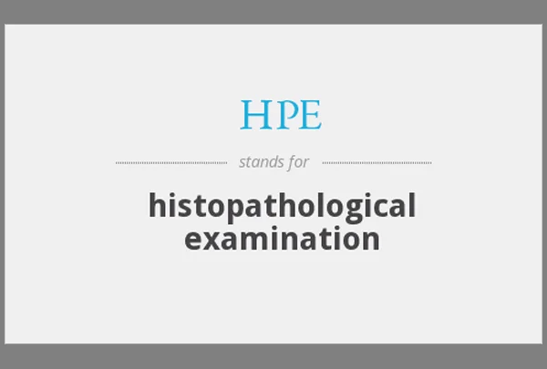 Histopathological Examination